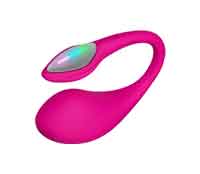 Lovense-compatible remote toy 1